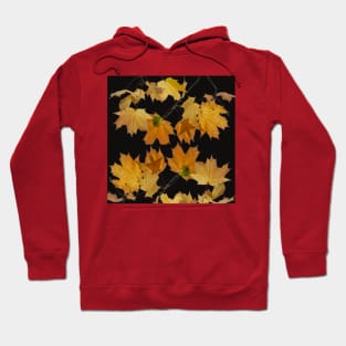 Autumn leaves Hoodie